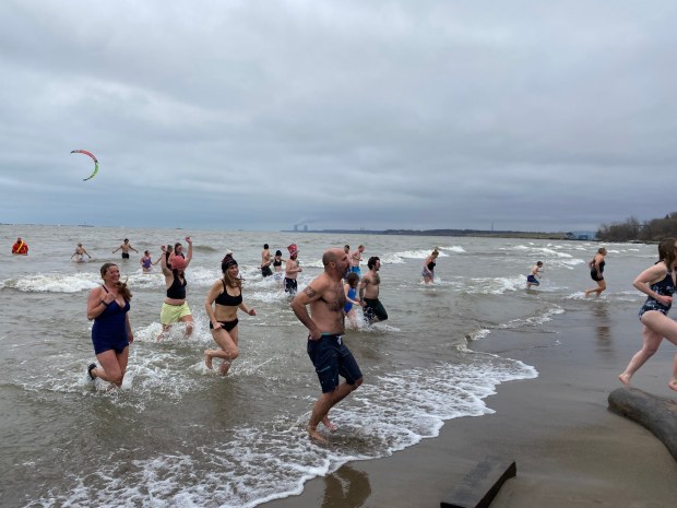 Plungers run out of the cold water after during Fairport Harbor Arts and Culture Alliance's Port Plunge event. (Frank Mecham- The News-Herald.)